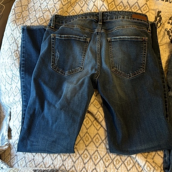 JUST USA, distressed skinny - Picture 5 of 5